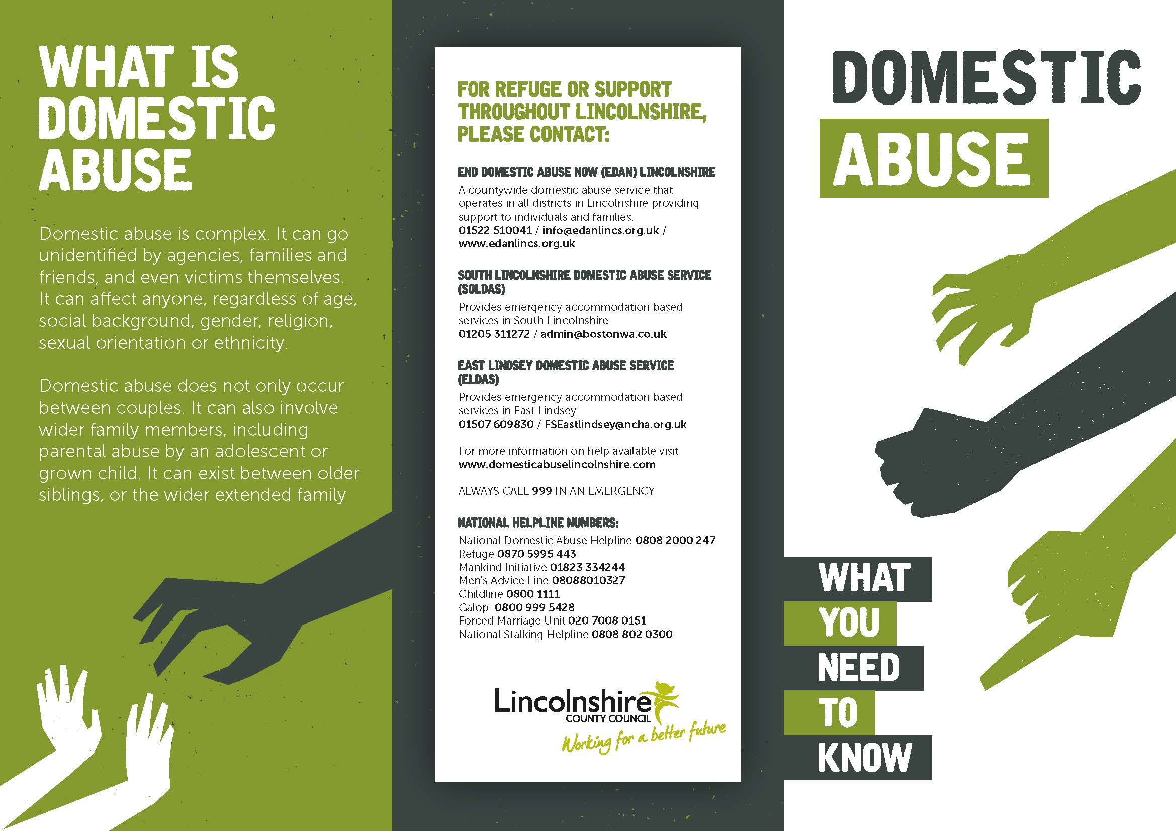 Domestic violence infographic family sexual assault