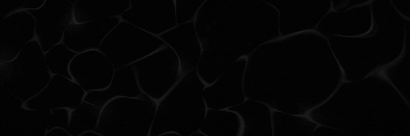 Black Friday at Magna Vitae 2025 1 Black Friday 2025 GIF V2 800 x 267